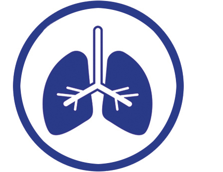 Lungs Icon