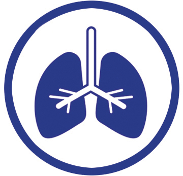 Lungs Icon